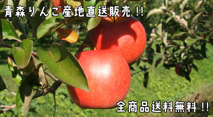 青森りんご専門店 鬼印須藤商店 |